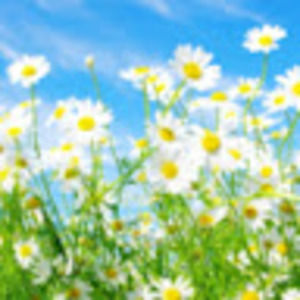 Meet your Posher, Madelyn